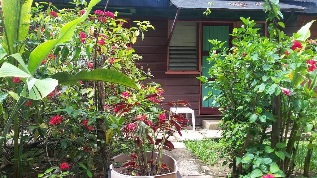Secret Cabins At Firefly Beach Cottage Negril Camera foto